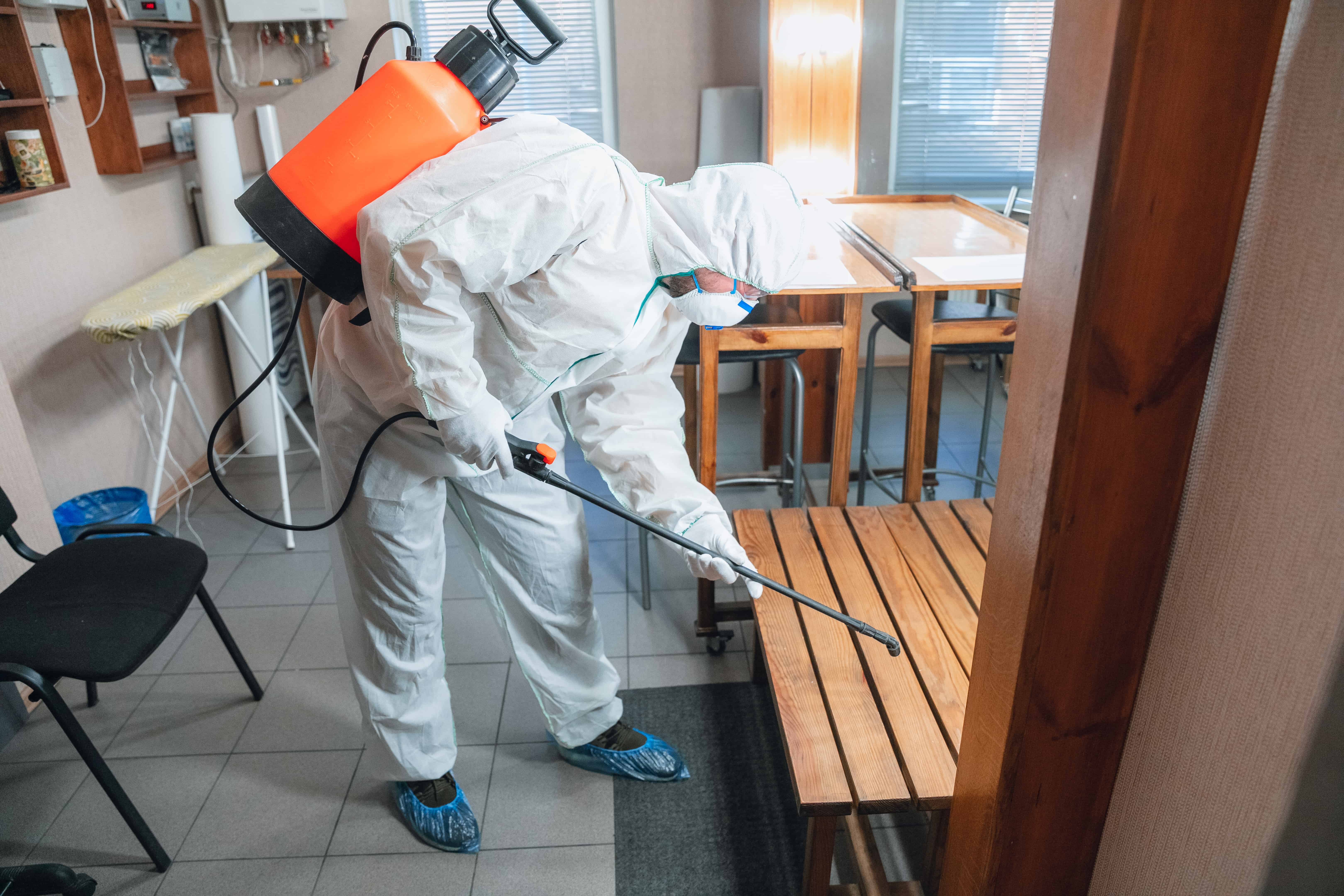 Pest Control Services Hyderabad - Safe and Effective Solutions for Pest Infestations